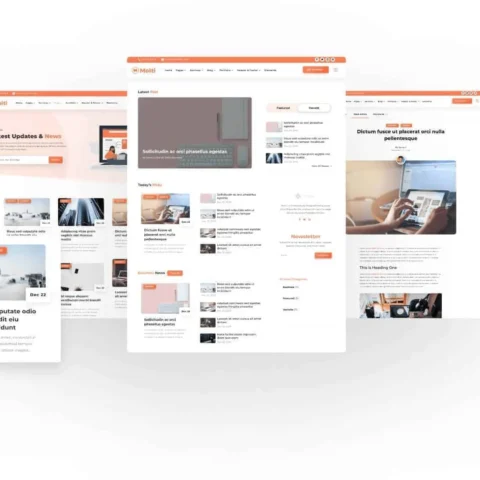 Ladies Double Hoop Earrings